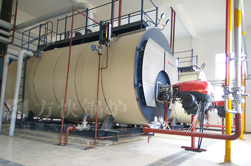 湖南電池化工燃（rán）油氣蒸汽鍋爐案例